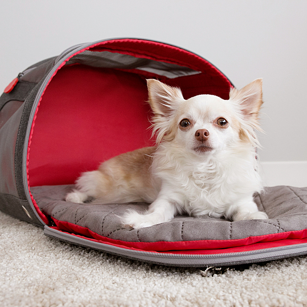 KONG 2-In-1 Pet Carrier & Travel Mat KOR DL ***