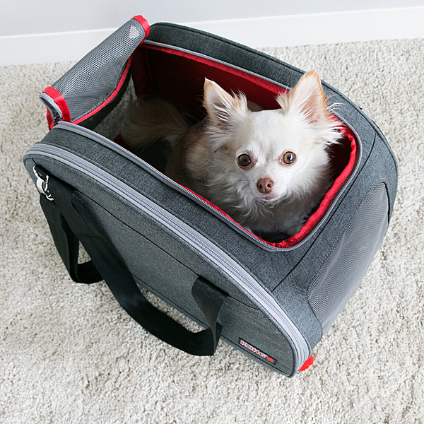 KONG 2-In-1 Pet Carrier & Travel Mat KOR DL ***