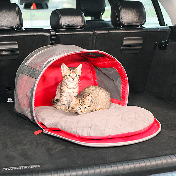 KONG 2-In-1 Pet Carrier & Travel Mat KOR DL ***