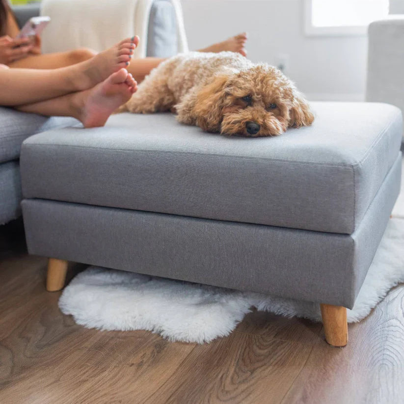4 Cats & Dogs Otto Pet Ottoman *SPECIAL ORDER*