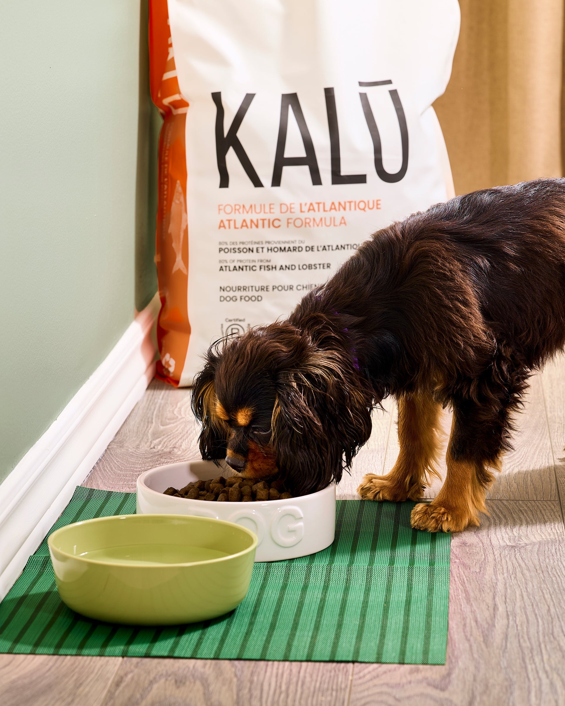 Kalu Dog Atlantic Fish & Lobster