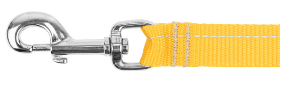 RC Pets Primary Leash