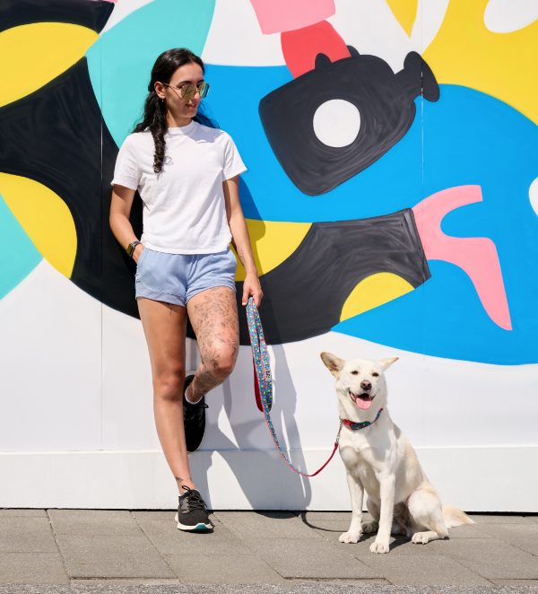 RC Pets Dog Leash