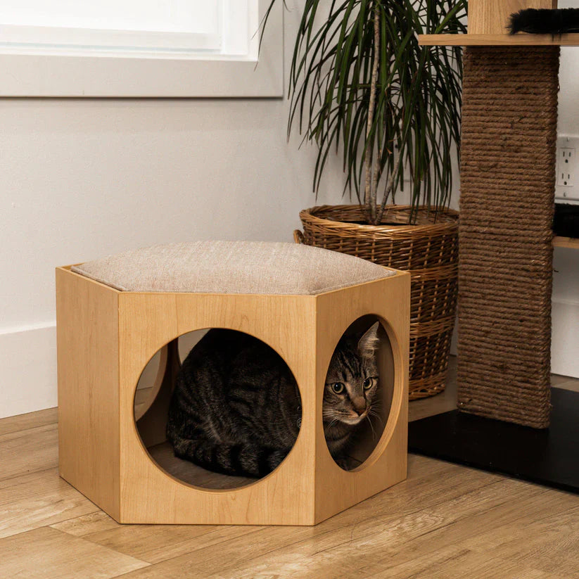 4 Cats & Dogs Suki Stool & Shelf *SPECIAL ORDER*