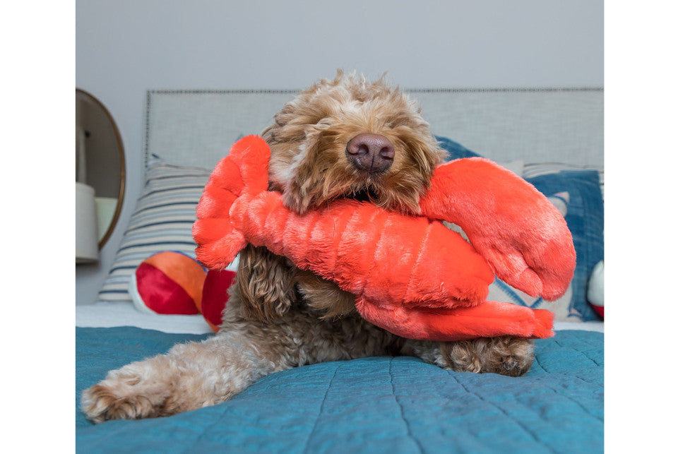 Fluff & Tuff Dog Toy Manny Lobster