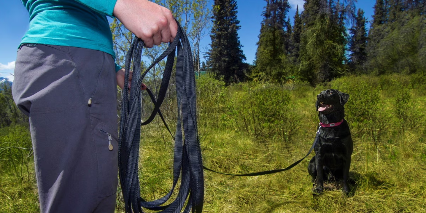 RC Pets Training Leash