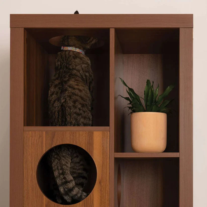 4 Cats & Dogs Cliff Jr. Cat Tree Book Shelf *SPECIAL ORDER*