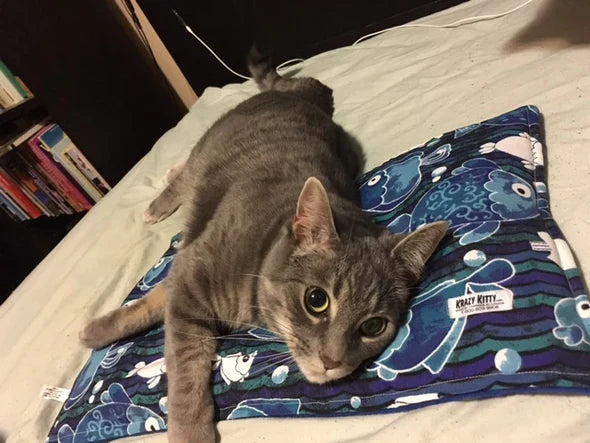 Krazy Kitty Catnip Blanket