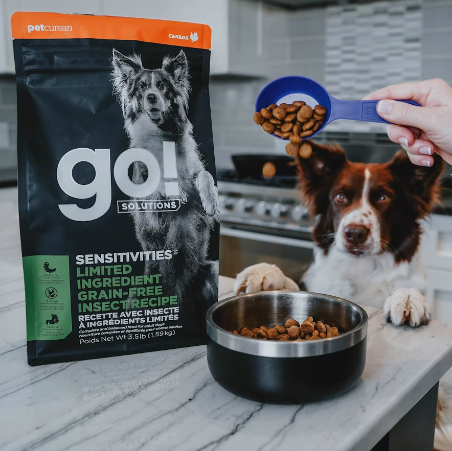 Go Dog Limited Ingredient Insect *SPECIAL ORDER*