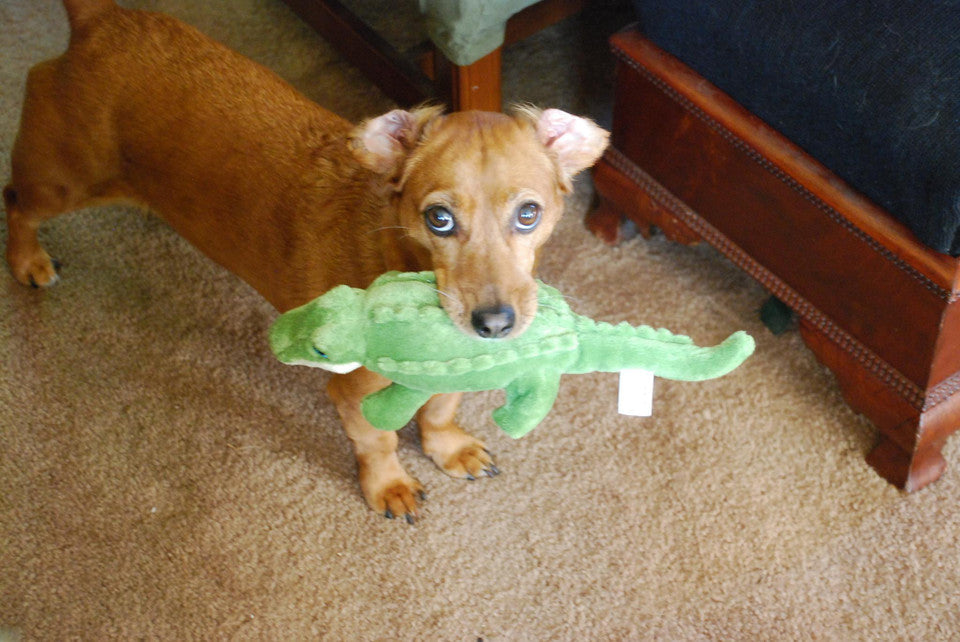 Fluff & Tuff Dog Toy Savannah Baby Gator