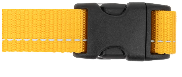 RC Pets Primary Clip Collar