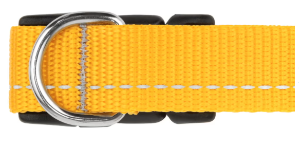 RC Pets Primary Clip Collar