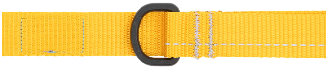 RC Pets Primary Leash