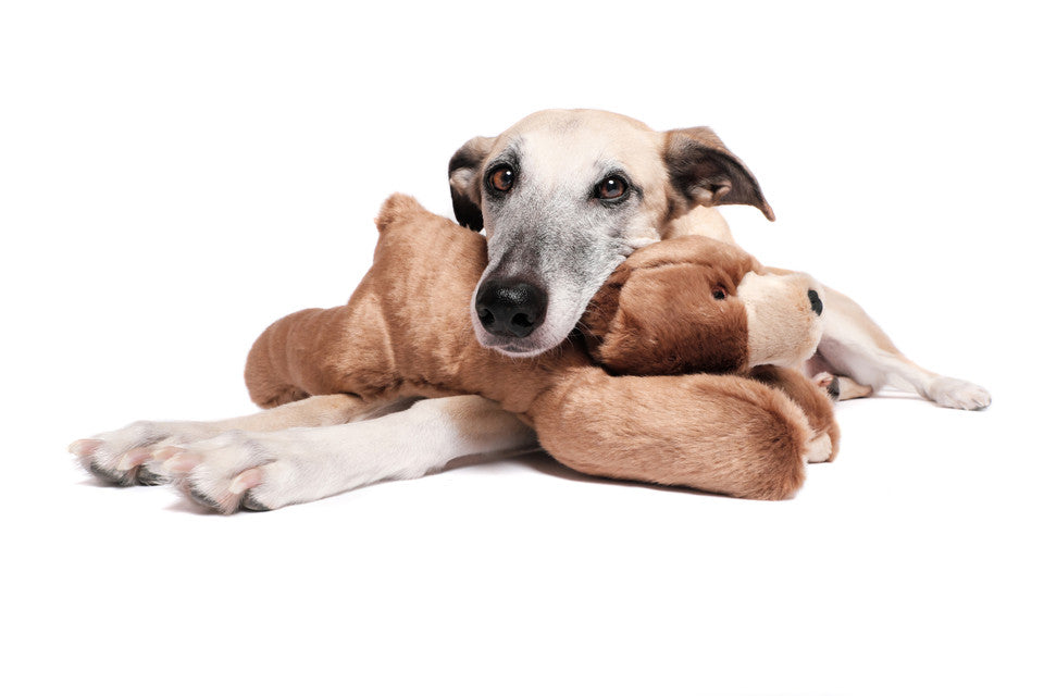 Fluff & Tuff Dog Toy Sadie Bear