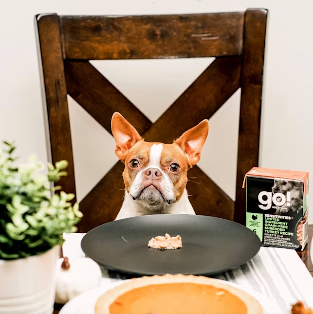 Go! Dog Tetra Sensitivities Shredded Turkey