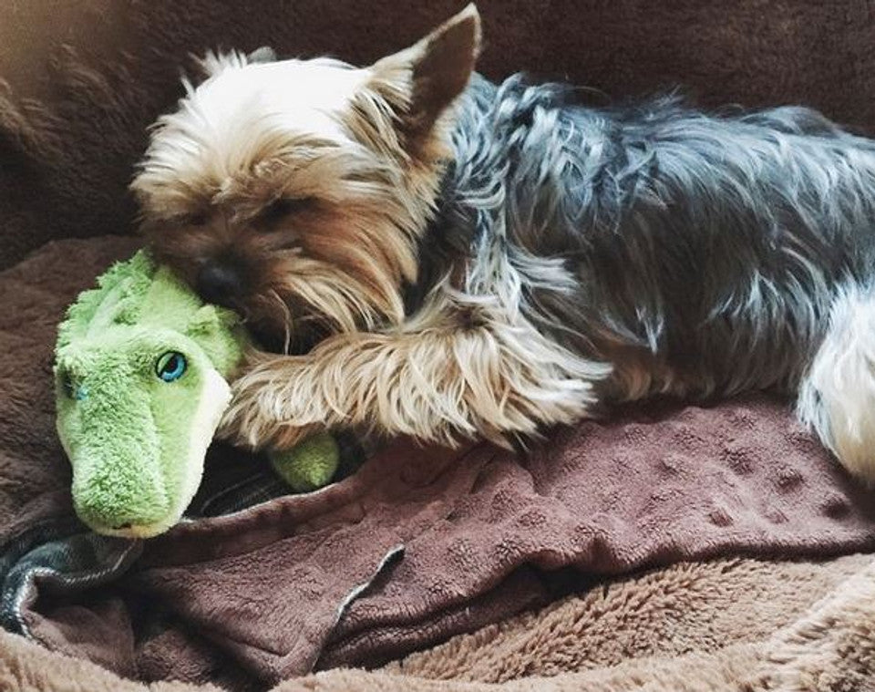 Fluff & Tuff Dog Toy Savannah Baby Gator